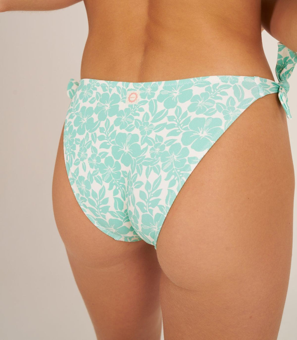 HIBISCUS BOTTOM NORMAL